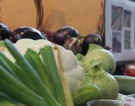 42265914 323411585059999 592597554319851520 o